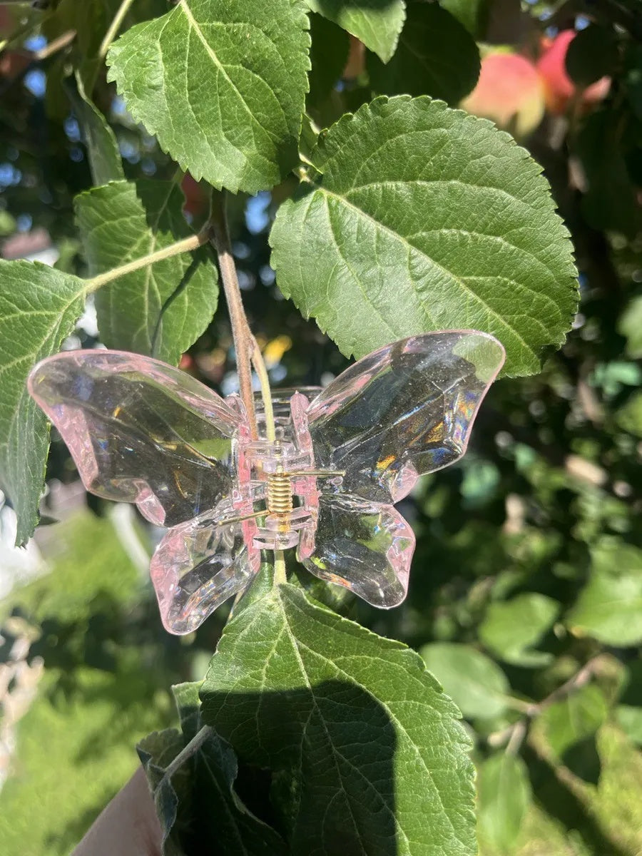 Краб "Кришталь"